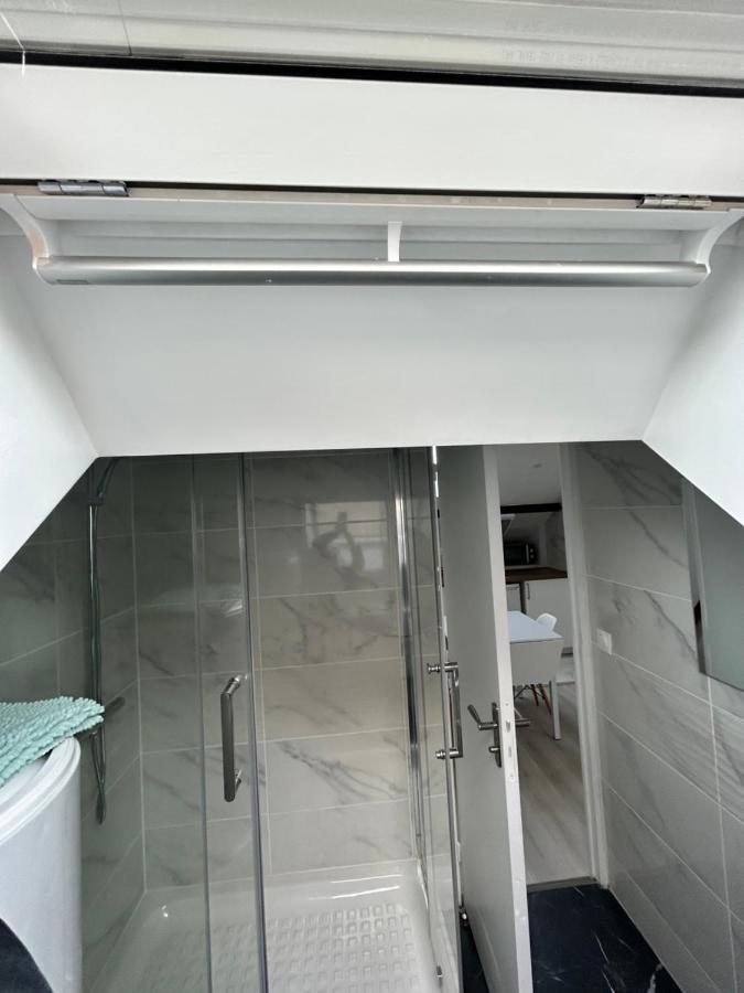 F3 Au Grenier D'Une Maison Massy (Essonne) Exterior foto