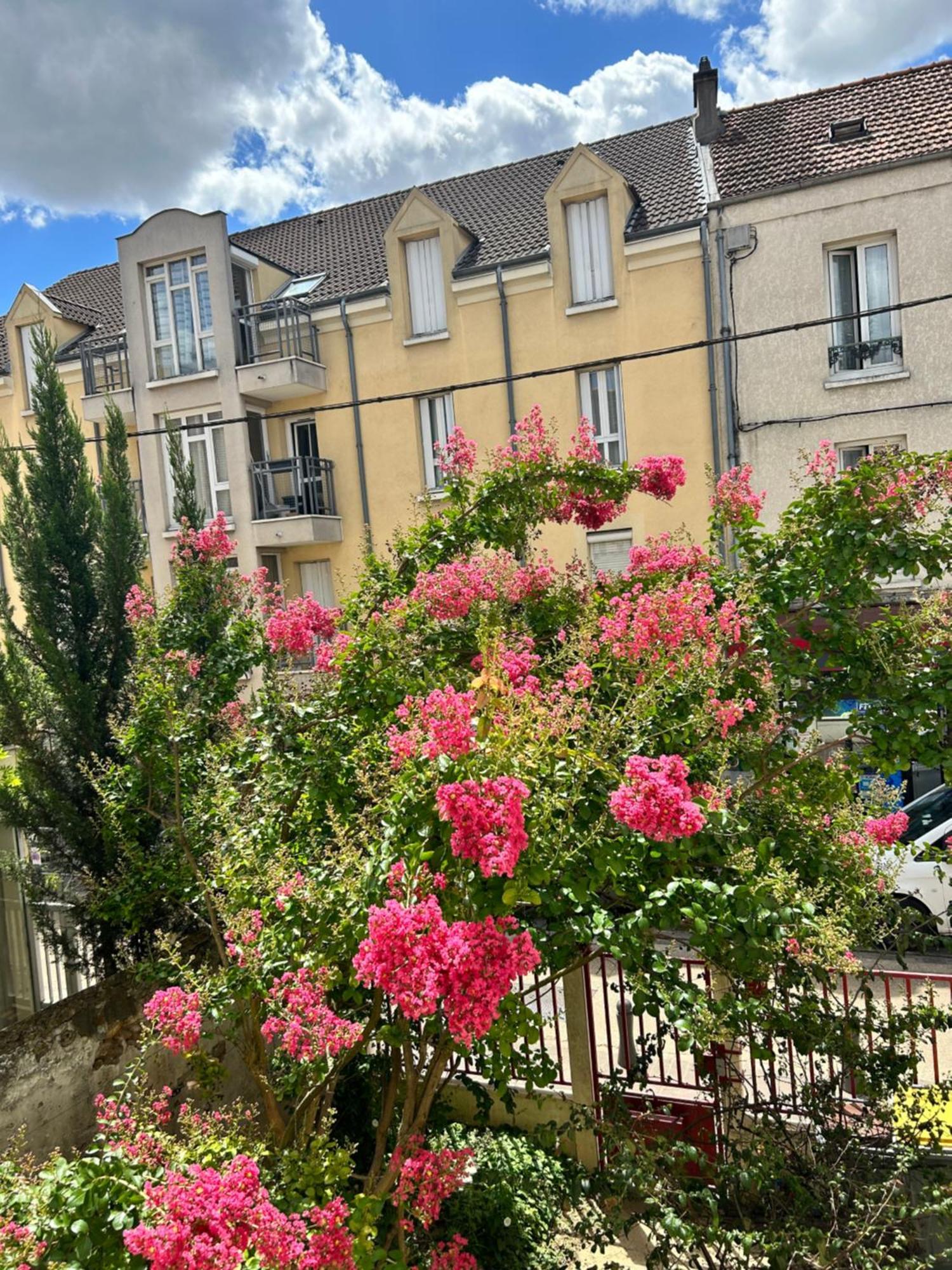 F3 Au Grenier D'Une Maison Massy (Essonne) Exterior foto